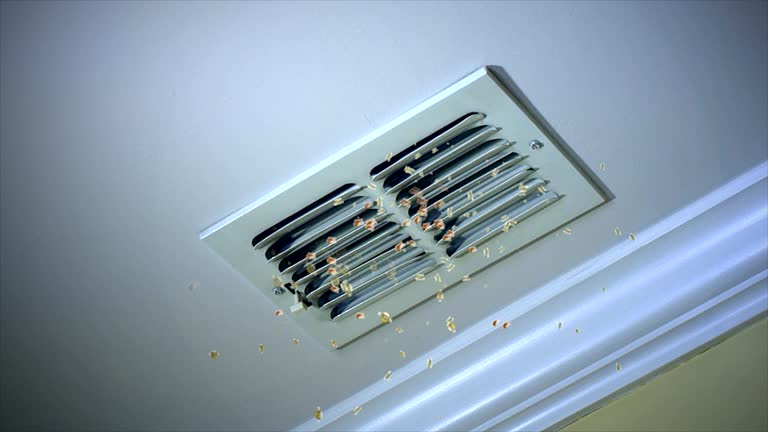 Best Air Duct Cleaning Near Me  in Buffalo, MO