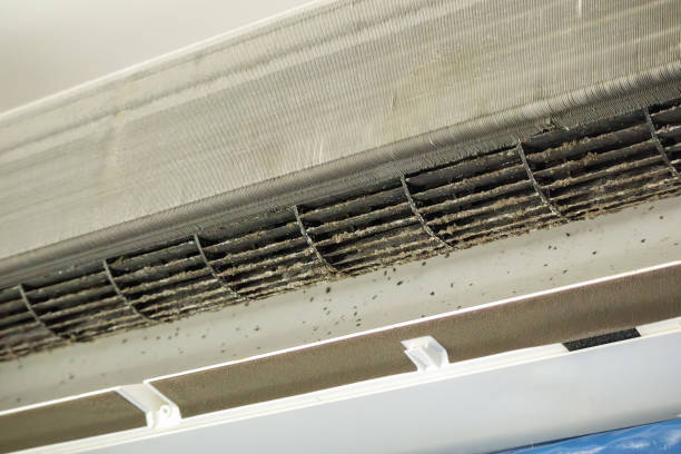 Best Best Air Duct Cleaning Company  in Buffalo, MO